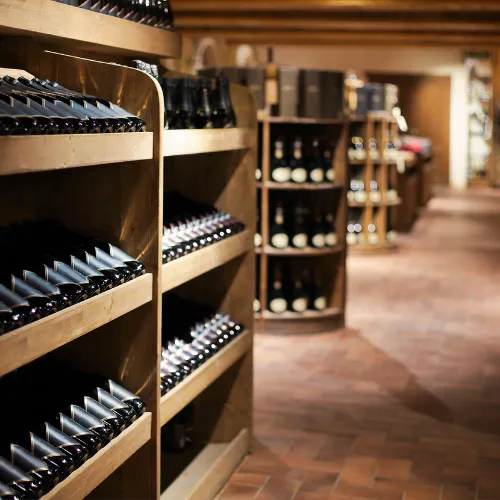 Kurátorský výběr